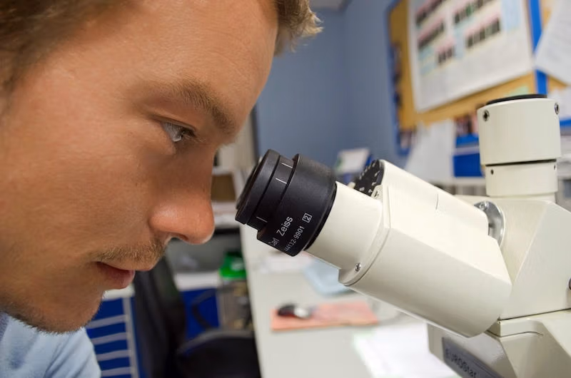 Homme regarde au microscope pour illustration appel à projets